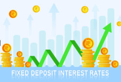 Top Fixed Deposit Rates for Senior Citizens After Repo Rate Cuts