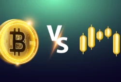 Cryptocurrency vs. Stocks: Which is a Better Investment in 2025?