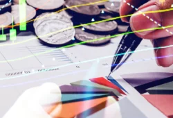 What is Portfolio Diversification: Meaning & Importance