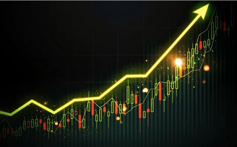 5 Stocks That Doubled in Value in the Last 5 Years: Market Champions Worth Noting