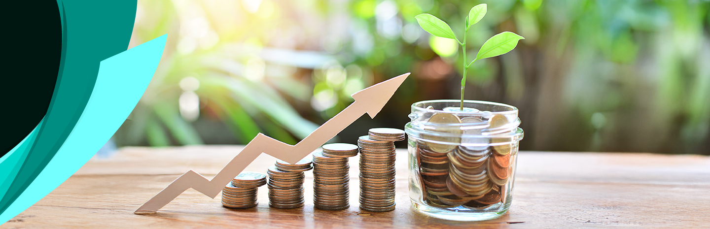 Best Performing Mutual Funds in the Last 1 Year