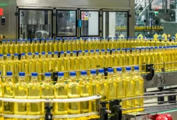 BN Holdings Q1 Results Highlights: Net Profit Recovers to ₹20.1 Crore, Strong Revenue Growth