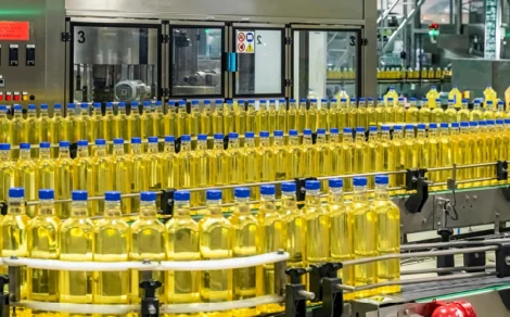 BN Holdings Q1 Results Highlights: Net Profit Recovers to ₹20.1 Crore, Strong Revenue Growth