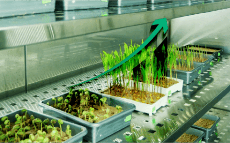 Blue Pearl Agriventures Q1 Results Highlights: Total Revenue Rises 90.3%, Profit Increases by 8%