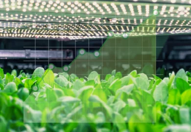 Cropster Agro Q1 FY26 Results: 26% Revenue Growth & 37.9% Profit Surge