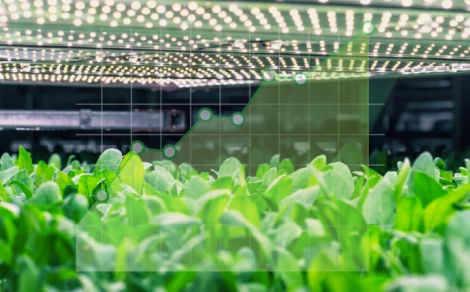 Cropster Agro Q1 FY26 Results: 26% Revenue Growth & 37.9% Profit Surge