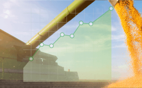 Regaal Resources IPO: Shares Soar 38.24% Above Issue Price on Debut