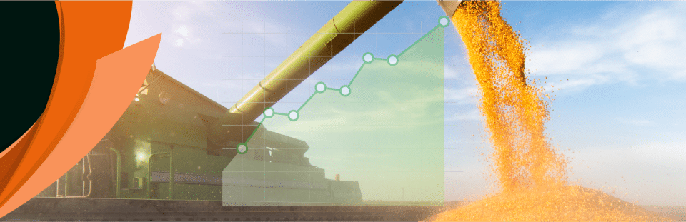 Regaal Resources IPO: Shares Soar 38.24% Above Issue Price on Debut